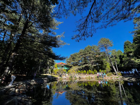 福壽山農場-天池(停留 30 分鐘)
天池位於福壽山農場海拔約 2,600 公尺處,是高山中少見的天然湖泊,被視為農場的鎮園之寶。湖水清澈如鏡,四周環繞楓樹、松林與雲霧山巒,秋季時楓紅倒映湖面,景致絕美。這裡同時也是宗教聖地,湖畔建有達觀亭,曾是蔣中正總統的行館所在,環境清幽,充滿歷史氛圍。漫步天池步道,不僅能欣賞高山湖泊的寧靜之美,更能感受自然與人文交織的意境。