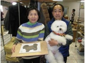 愛犬と一緒の旅行先にぴったり