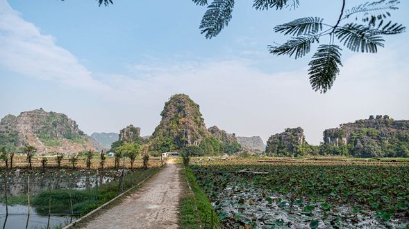 候鳥生態園區(含遊船)