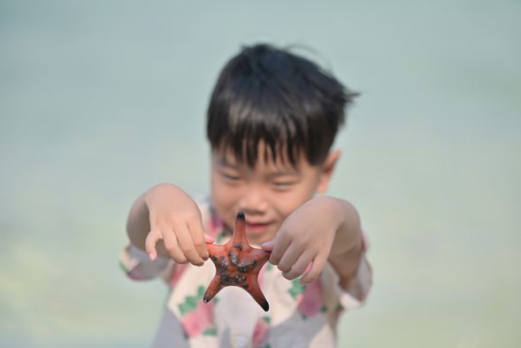 記得拍完照要盡快放回海中喔~ 愛護海洋生物!