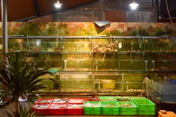 新鮮海產讓你看得到!