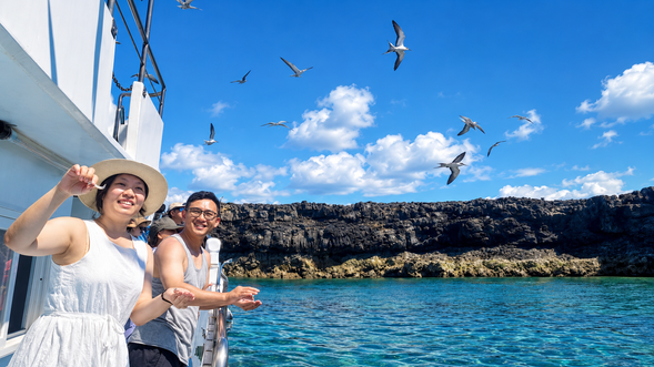 沿著澎湖北海巡航,5–7 月若季節、天候與鳥況合適,有機會欣賞燕鷗飛翔。