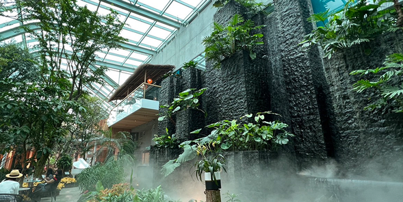 療癒森林食光
高芬多精&瀑布負子濃度的愜旅,用精緻甜點+療癒咖啡,享受植感下午食光。