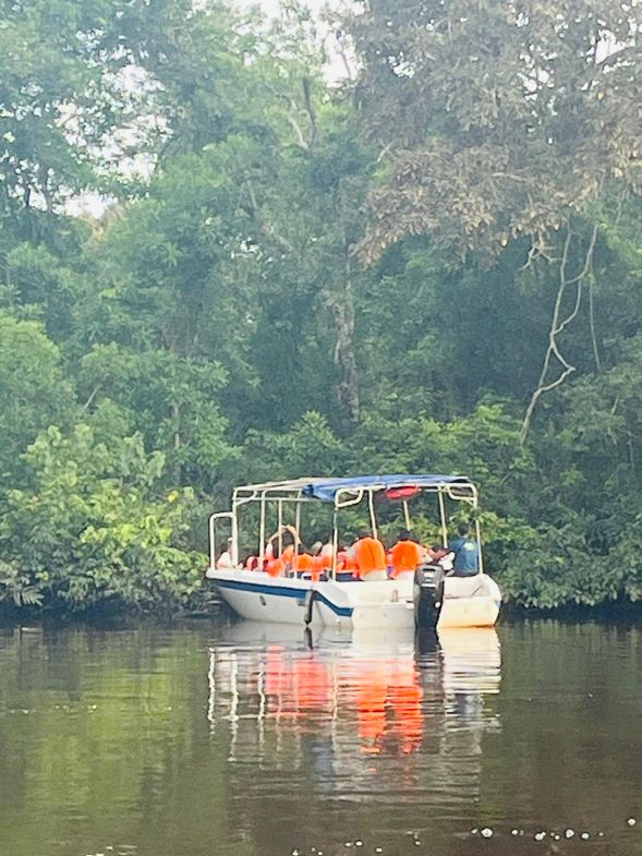 1st rivercruise start to see proboscis monkeys and other wildlife such as silver leaf monkey, giant lizard, crocodile, hornbill, etc.
The boat departure time depends on situation at jetty with the process or boarding the boat, etc.