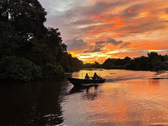 After savoring your dinner, you will embark on a second serene river cruise to witness the breathtaking beauty of a glowing sunset. followed by the enchanting spectacle of countless fireflies twinkling like living stars among the mangrove trees. A truly magical and memorable experience.
