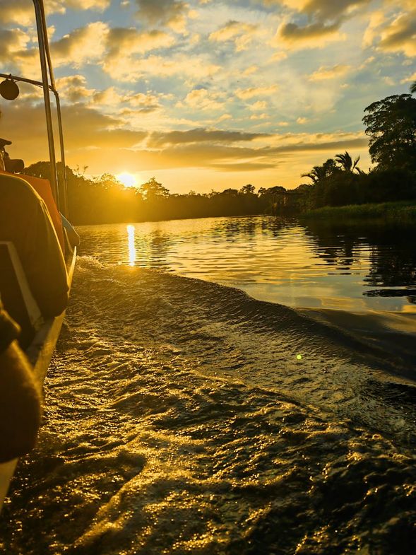 2nd boat cruise to see the mesmerising and twinkling fireflies