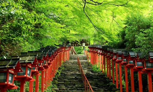 Enchanting Shrine in a Dreamlike Village
Kibune is an ancient village located in the northern mountains of Kyoto. It features the Kibune Shrine, several traditional Japanese inns, and lush cedar forests.