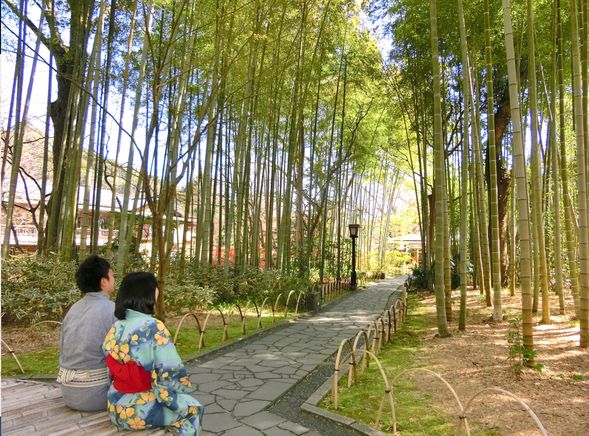 Shuzenji Onsen
Located in the Izu City of the central Izu area, Shuzenji Onsen has a history of over 1,200 years and is one of the three ancient hot springs of Izu. It is widely known as the healing place of the renowned Japanese author Natsume Soseki during the Meiji era.