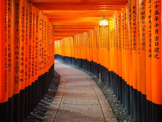 Fushimi Inari Taisha
Fushimi Inari Taisha is the head shrine of all Inari shrines in Japan, dedicated to the deity Inari, who is believed to ensure bountiful harvests and business prosperity. The path leading to Mount Inari is lined with seemingly endless bright orange torii gates, creating a breathtaking view that is one of Japan's most iconic sights.