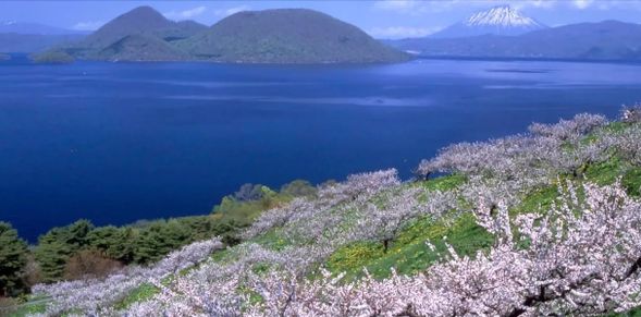 Lake Toya was formed approximately 110,000 years ago due to a massive volcanic eruption, making it Japan's third largest caldera lake. You can leisurely enjoy the beautiful lake scenery by taking a sightseeing boat.
