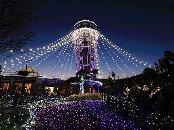 Enoshima Sea Candle
The Enoshima Lighthouse Observation Tower, also known as the "Enoshima Sea Candle," is located in the central area of the island and can be clearly seen from afar. The observation tower stands at a height of 119.6 meters.