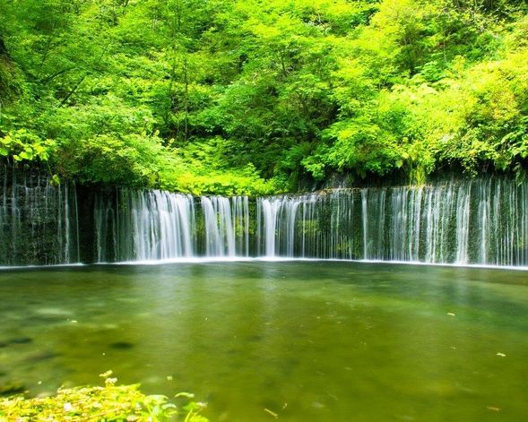 Shiraito Falls, located in the northern part of Karuizawa, is fed by water from Mount Asama. With a height of 3 meters and a width of 70 meters, the falls appear as thousands of white threads cascading down, offering a profound sense of the beauty of nature.