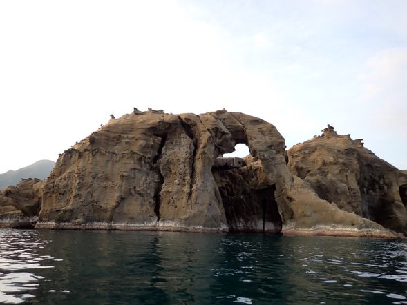 大象ㄚ大象~你的鼻子怎麼這麼長