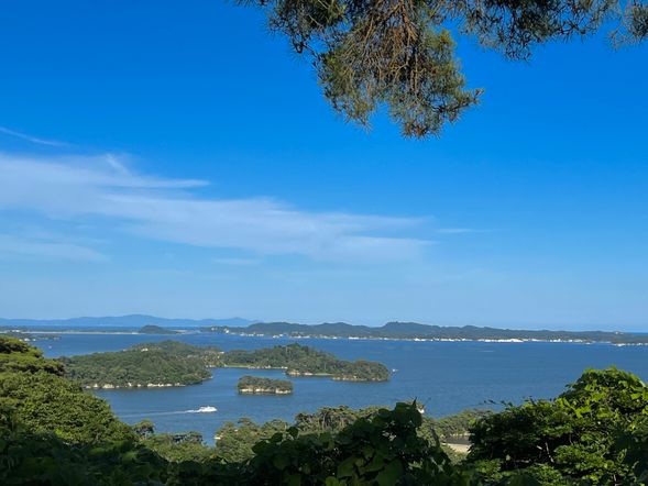西行戻しの松公園より松島湾を展望