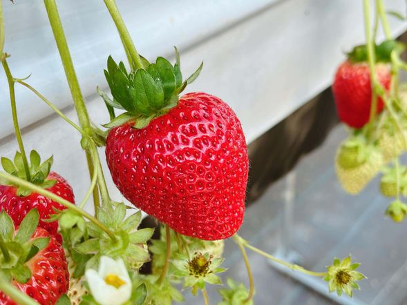 9:00-17:00の間で30分間を予約し、現地会場まで各自にてお越しください