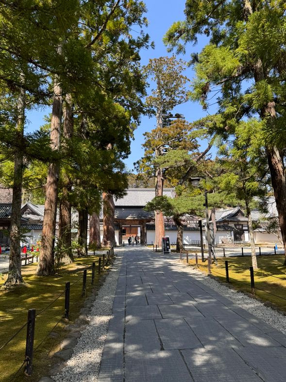 瑞巌寺・五大堂見学