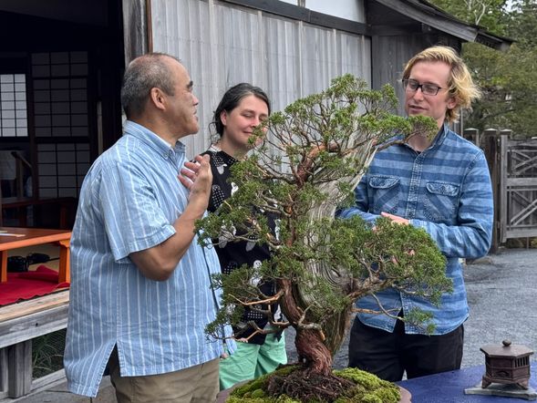 盆栽ガイドの説明付きで盆栽鑑賞
