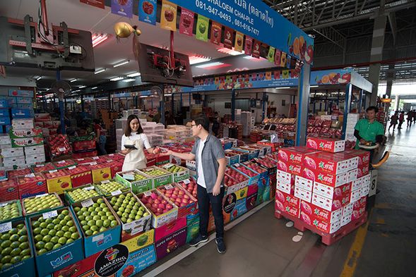 Talad Thai Fruit Wholesale Market is the largest fruit wholesale market in Thailand, covering 200 hectares and hosting 3,500 merchants. It offers the most comprehensive selection of domestic and international fruits and vegetables in Thailand, with a vibrant array of tropical fruits available at extremely affordable prices!