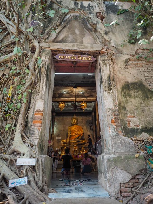 The Temple in the Tree, also known as the "Green Cave Temple", is a temple located in the suburbs of Bangkok, famous for its unique architectural style. The temple was built into a huge banyan tree, forming a unique temple structure that allows you to worship and visit under the shade of the tree.