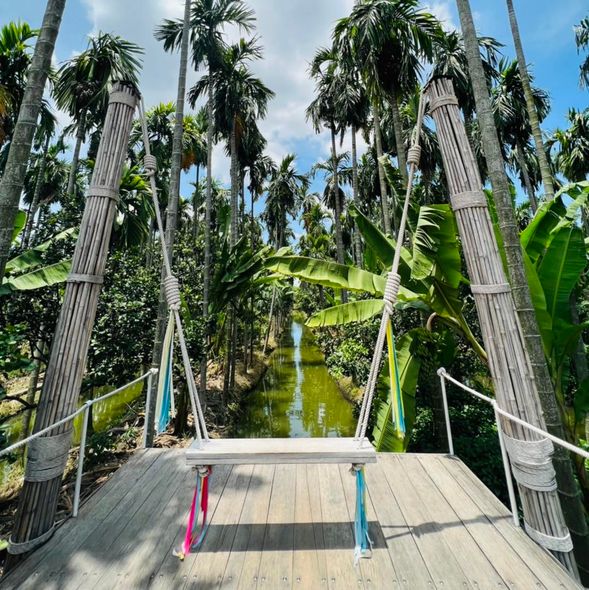 Enjoy a cup of coffee in the dreamlike rainforest environment at the popular Rainforest Café. Then, take a boat trip on the river. The palm trees on both sides provide a unique background for photos.