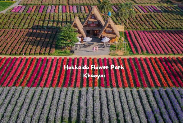 Hokkaido Flower Park: A Hokkaido-style garden with different flower themes for each season, a romantic spot.