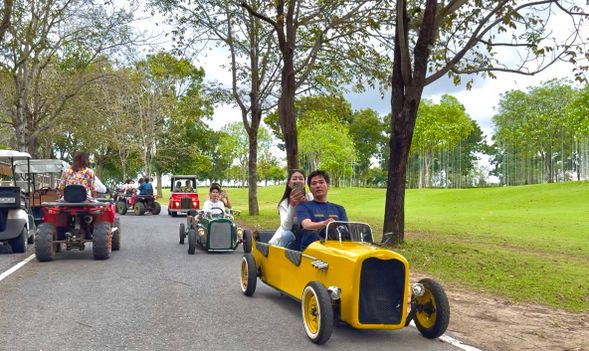 Trot Café: A forest-themed cafe with wooden decorations and greenery, specializing in hand-brewed coffee and light meals. You can experience the fun of vintage cars