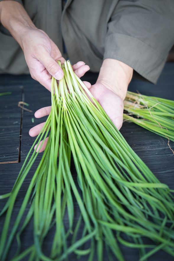 泥土芬芳・當一日城市農夫:下田親手收割、分級、挑洗,感受植物鮮活的生命力,真正體驗「汗滴禾下土」的食農真諦。