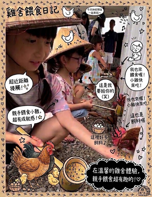 採 收 體 驗
(活動採集雞蛋數量(6顆),DIY所需使用1顆,
其餘採集的5顆可帶回家與家人分享。)
城市農夫新體驗,親手收集、挑選,感受動物的生命力,
雞蛋經過雞媽媽的努力,盡力的產出世界上最美味的寶物!