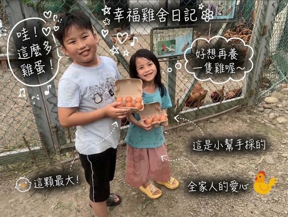 採 收 體 驗
(活動採集雞蛋數量(6顆),DIY所需使用1顆,
其餘採集的5顆可帶回家與家人分享。)
城市農夫新體驗,親手收集、挑選,感受動物的生命力,
雞蛋經過雞媽媽的努力,盡力的產出世界上最美味的寶物!