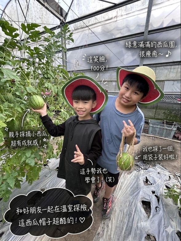 採 收 體 驗
城市農夫新體驗,親手摘取、挑選,
感受植物的生命力,判別小西瓜熟度的四個條件
小西瓜藤盡情的生長並孕育出鮮美的果實!