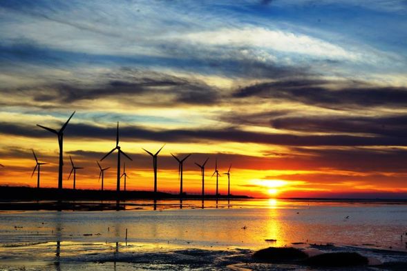 高美濕地(約40分)