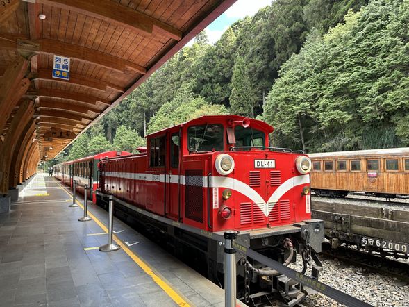 14:00 阿里山駅から沼平駅まで森林鉄道列車で移動