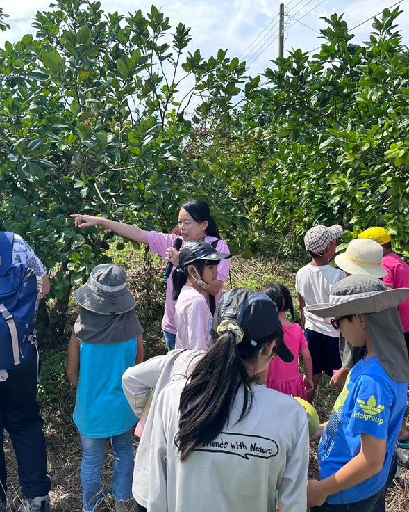 漫步茶園聽故事