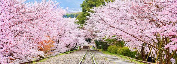 蹴上傾斜鐵道(90分)