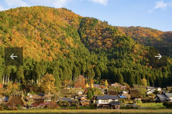 享受山間芬多精