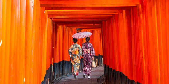 伏見稻荷大社(80分)