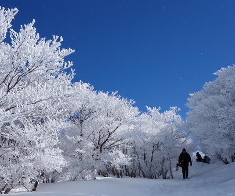 山上公園站(在標高1000米的地方,秋天鑑賞自然楓葉,冬季鑑賞自然的樹冰,和以自然造型的人工冰瀑布