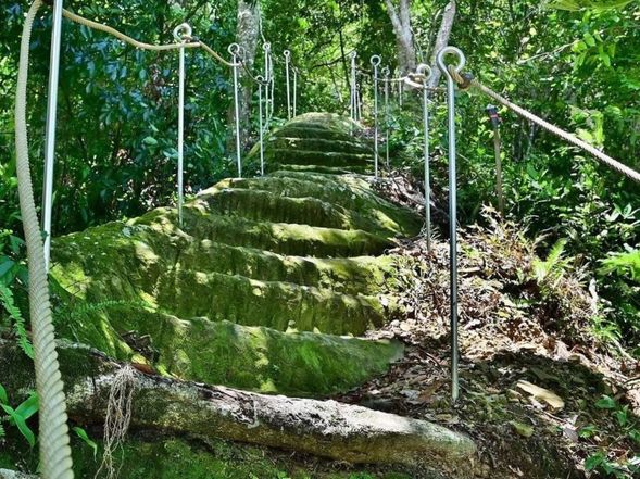 埋伏坪步道
埋伏坪登山步道全長2.6公里,和平區自由里里辦公處旁即為步道起點,由桃樹園山徑途切上稜,終點為銜接東崎路2段。
埋伏坪登山步道位於臺中市西側內陸和平區,位處大安溪沿線,屬泰雅族北勢群聚落-雙崎部落,緊鄰雪山山脈西南向主稜後段,蘊含豐富自然林資源、多樣生物系統,及帶狀原住民族特色及文化。步道起點為自由里登山步道出入口,步道終點為東崎路登山步道出入口。
步道特色景點有天然石階步道高點、紅磚水塔、水圳遺址、百年櫸木步道奇景、觀景點及引水隧道等。