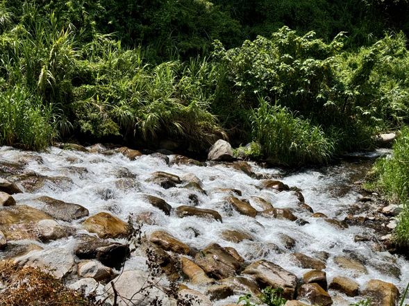 山谷河畔戲水趣
最後來到山谷河畔,清澈溪水從山中緩緩流過,陽光灑在水面閃爍著金光。你可以脫下鞋子、踩進溪裡,撿石頭、找化石,也可以靜靜地坐在岸邊聽水流唱歌。
這一站,是為自己找回單純快樂的時光,一起在溪邊玩水、堆疊小石塔,拍下屬於這趟旅程最溫柔的句點。