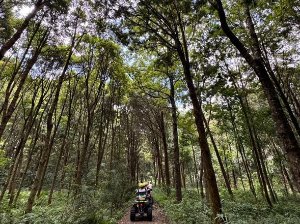 森林獵場療癒紓壓
進入部落獵人的秘密森林,我們不是來打獵,而是讓森林「獵」走你的煩惱。沿著山林小徑漫步,呼吸沁涼的松針香氣,聽見蟲鳴鳥叫與溪水流聲,時間彷彿慢了下來。在這裡,你可以擁有一張屬於這一刻的拍立得照片,把你和森林的獨特連結帶回家,永不褪色。