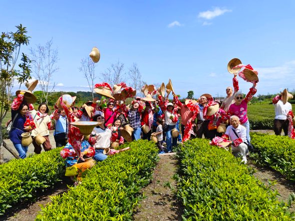 走入茶園親手採茶與製茶,體驗從產地到茶香的在地農村生活。