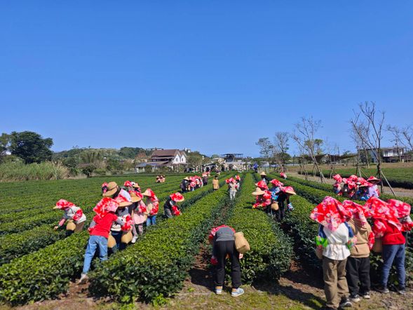 走進純樸農村,體驗在地農事與手作樂趣,感受宜蘭田園生活的慢活魅力。