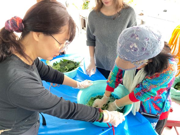 福成藍染DIY體驗。