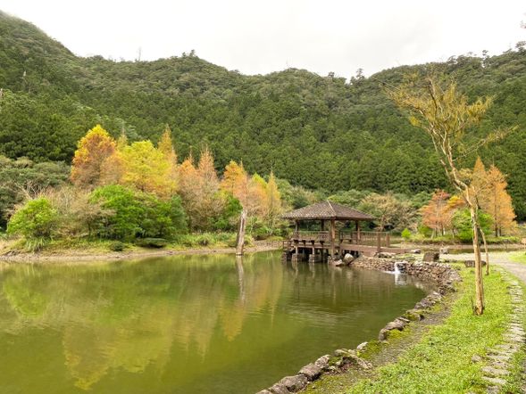 明池森林遊樂區
