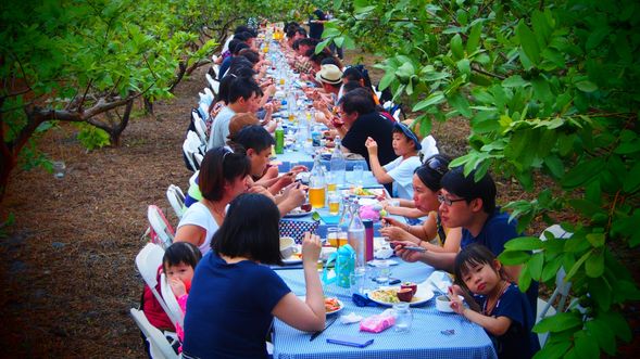 在果樹下的戶外餐桌,將當季水果與在地食材化作一場自然樸實的風土午宴。