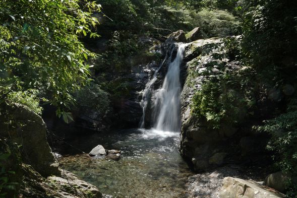 漫步於林蔭環繞的步道間,輕鬆親近山林與瀑布,感受宜蘭最療癒的自然氣息。