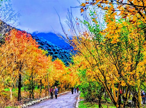 不只品嚐在地風味,更感受枕頭山的生活哲學——慢、好、誠實。