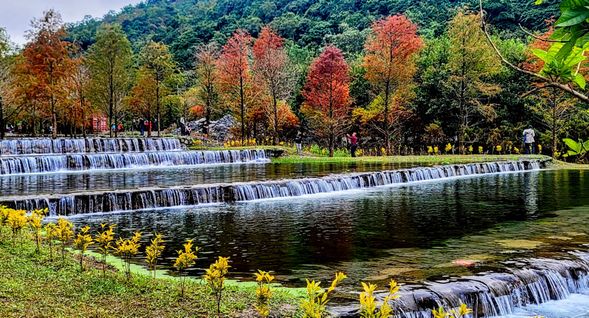 在自然與手作中重啟心靈,感受生活的溫柔節奏。