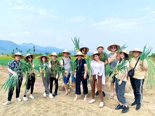 跟著星寶玩農趣,拔蔥也能超有趣!