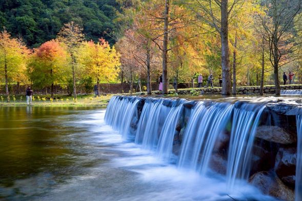 香氣、風味與色彩交織,編織成一場輕盈的森林系小旅行。